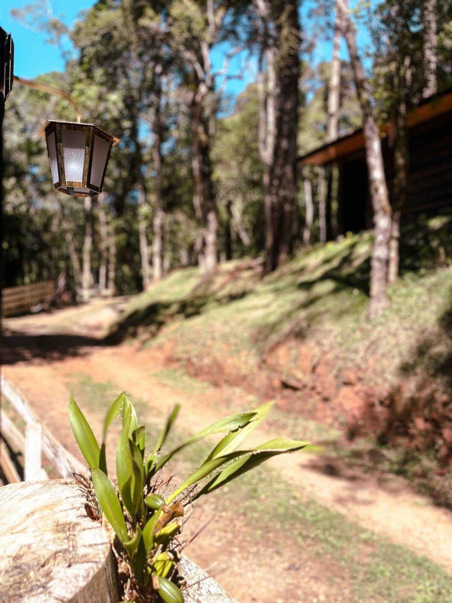 La Catedral - Hospedagem Campos do Jordão 外观 照片